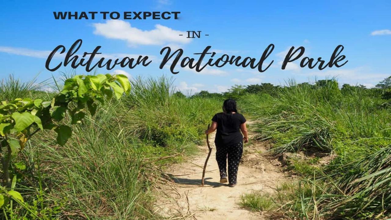 Hotel National Park Sauraha- Homely Stay And Peaceful Location With Jungle Safari Arrangements ภายนอก รูปภาพ