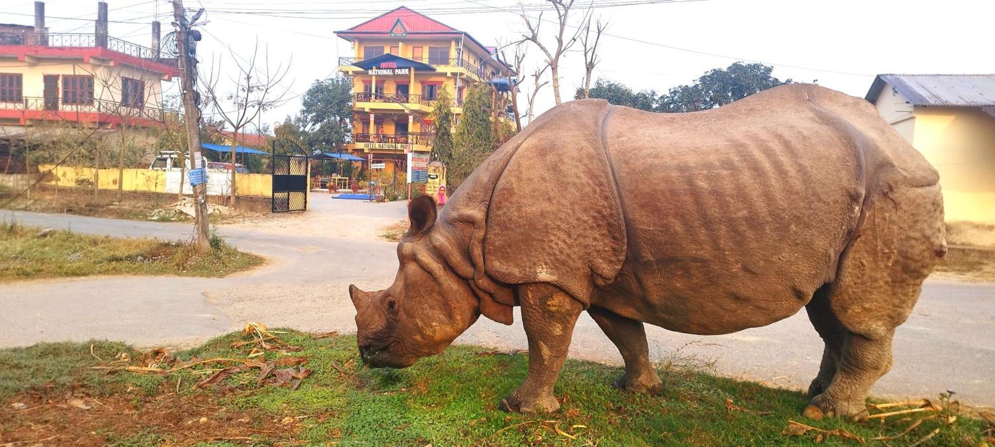 Hotel National Park Sauraha- Homely Stay And Peaceful Location With Jungle Safari Arrangements ภายนอก รูปภาพ